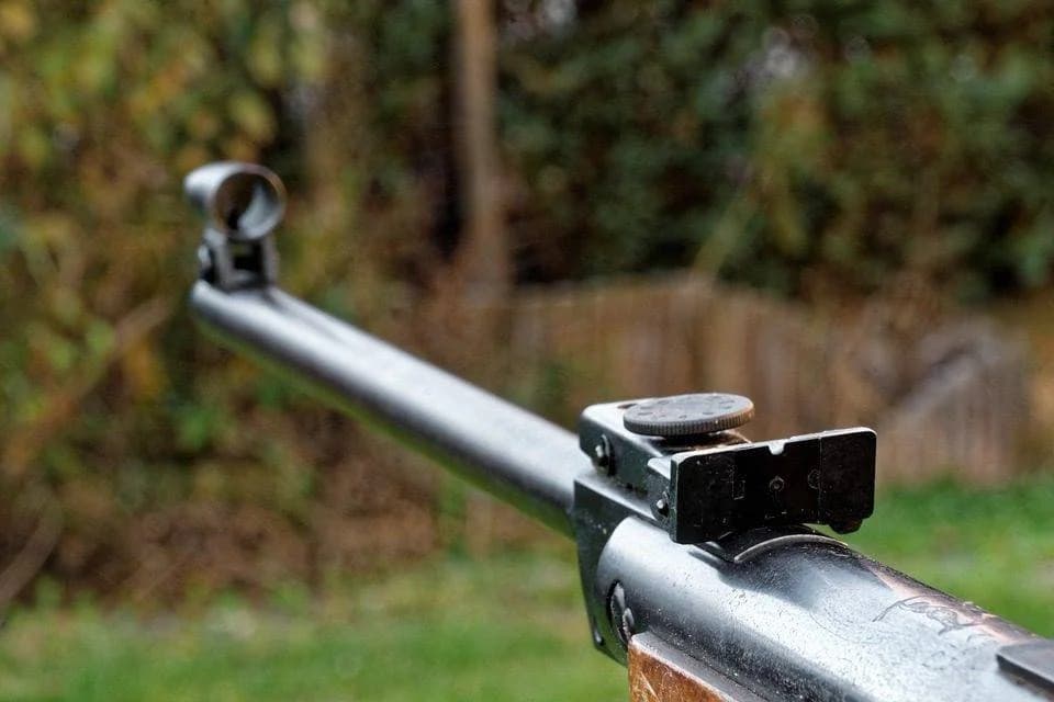 Foto 175993