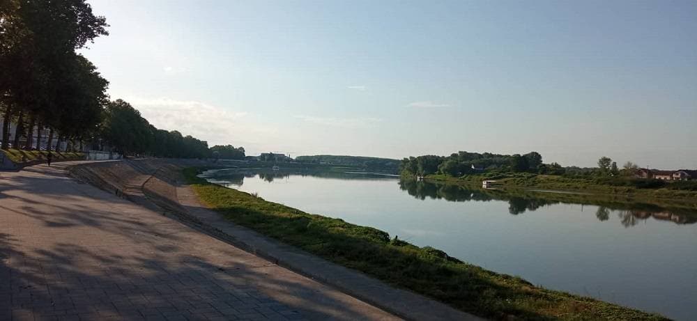 Foto 177439