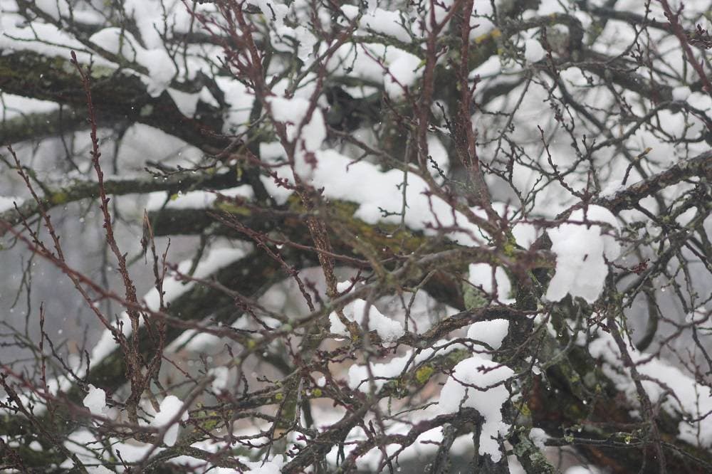Foto 179048