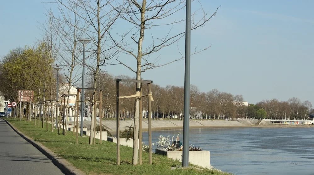 Foto 187917
