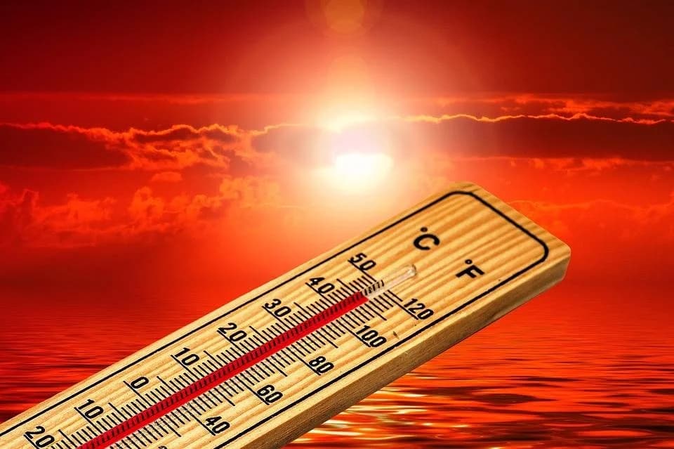 Foto 189207