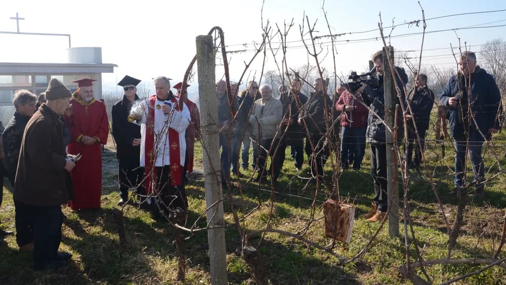 Blagoslov franjevačkog vinograda u Slavonskom Brodu