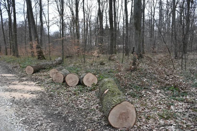 Smrtno stradao 42-godišnjak u šumi kod Nove Gradiške