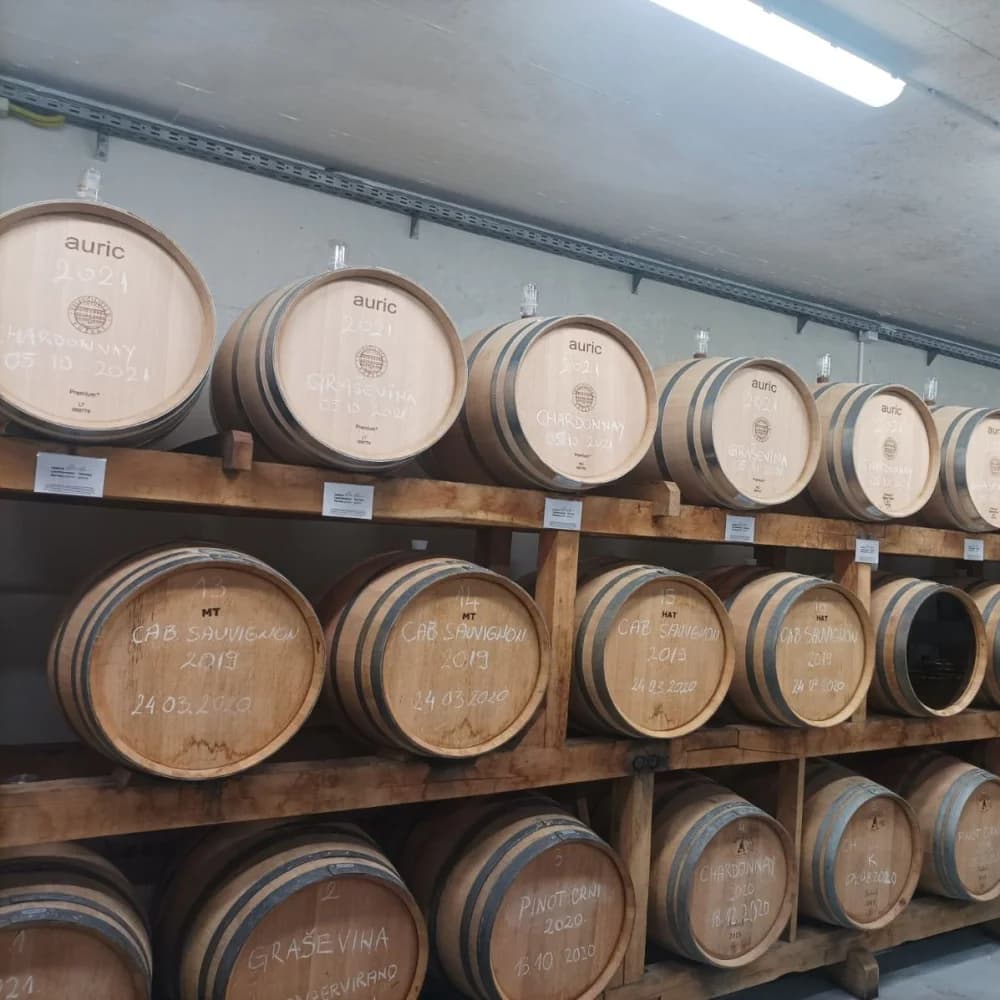 STEM obrazovanje za kreativne industrije u Požegi- turizam i održivi razvoj