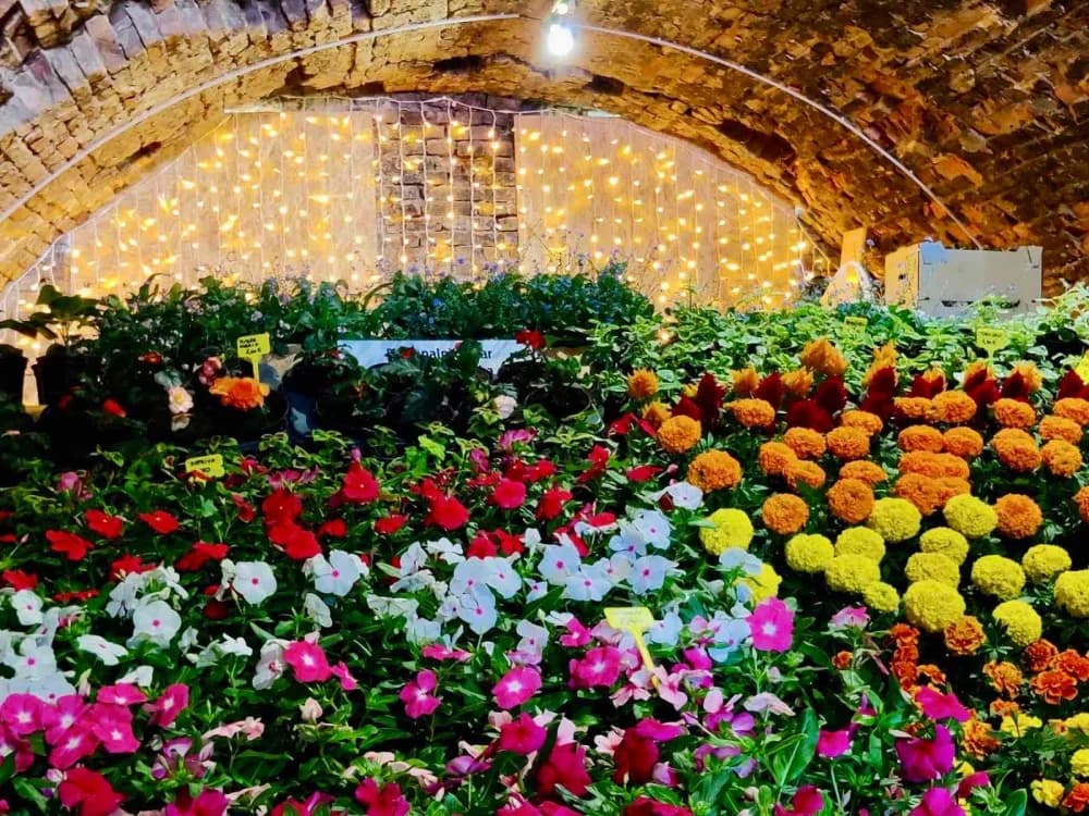 Održan 16. sajam cvijeća Florafest