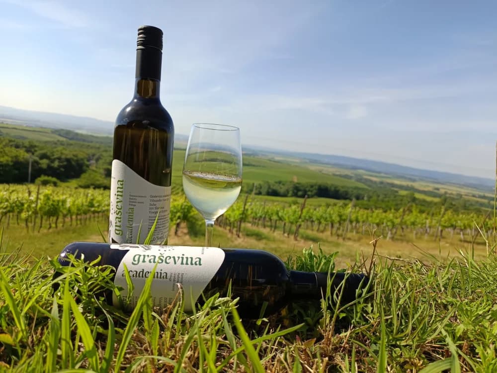 Enogastronomija i Turizam-Studentska graševina Vinum Academicum šampion Festivala u Kutjevu