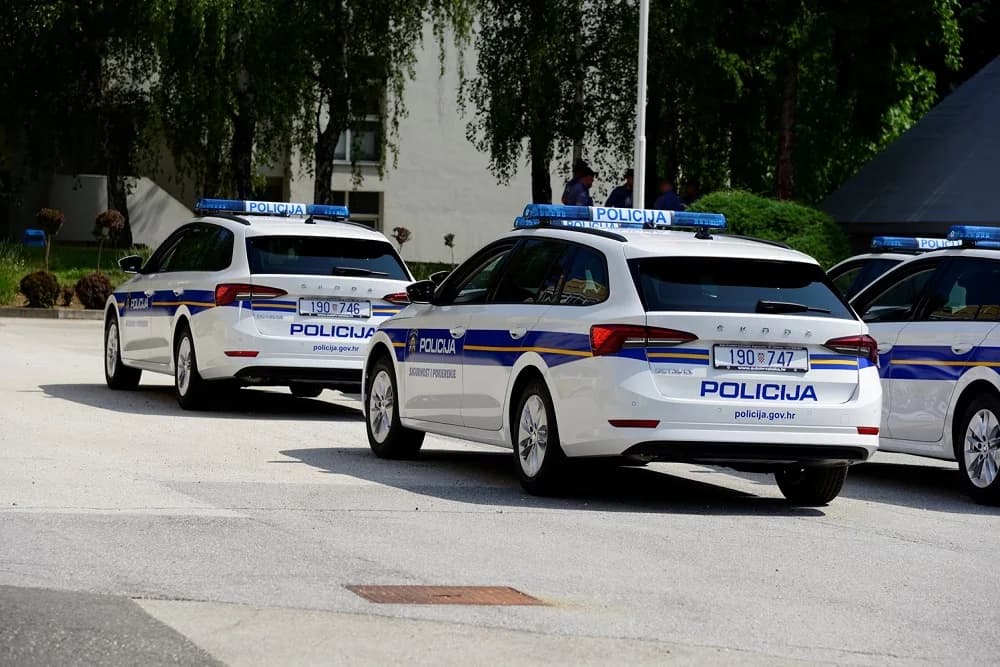Narušavali javni red i mir, kumovao alkohol