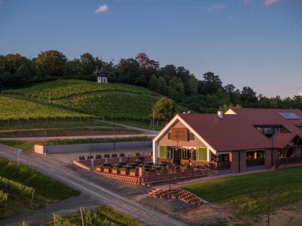 Gastro raj usred vinograda - otkrijte Slavonsku kuću Vinkomir