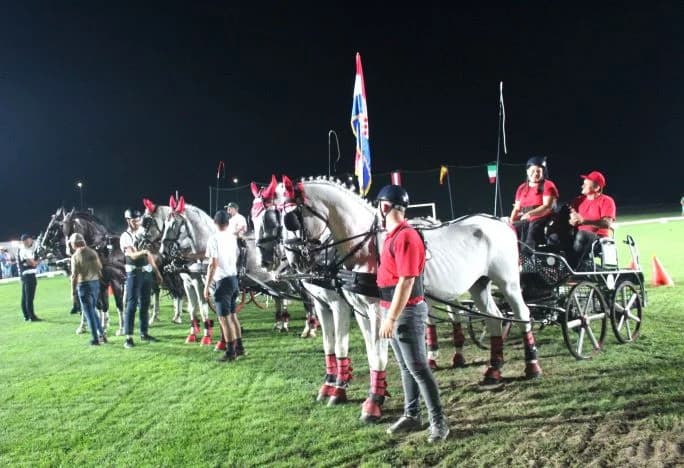 MEĐUNARODNI KONJIČKI TURNIR U PLETERNICI: Noćna vožnja oduševila posjetitelje - pobjednik Antun Medvidović iz Sikirevaca