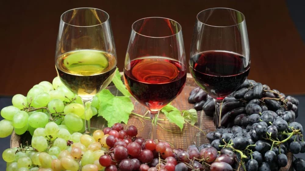 OCJENJIVANJE VINA: Šampion Bonavite je graševina suho vino Žarka Grozdanovića iz Oriovca