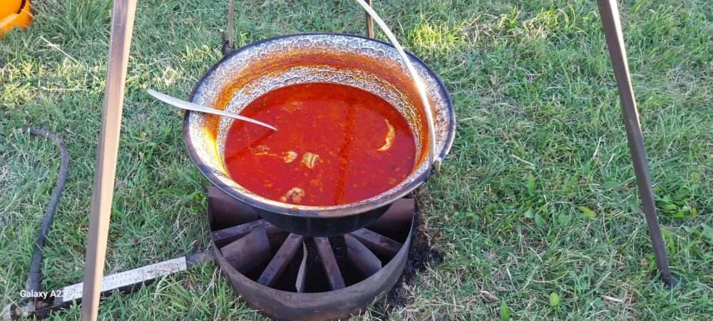 VELIKA FOTOGALERIJA: Ovo su pobjednici brodske Fišijade
