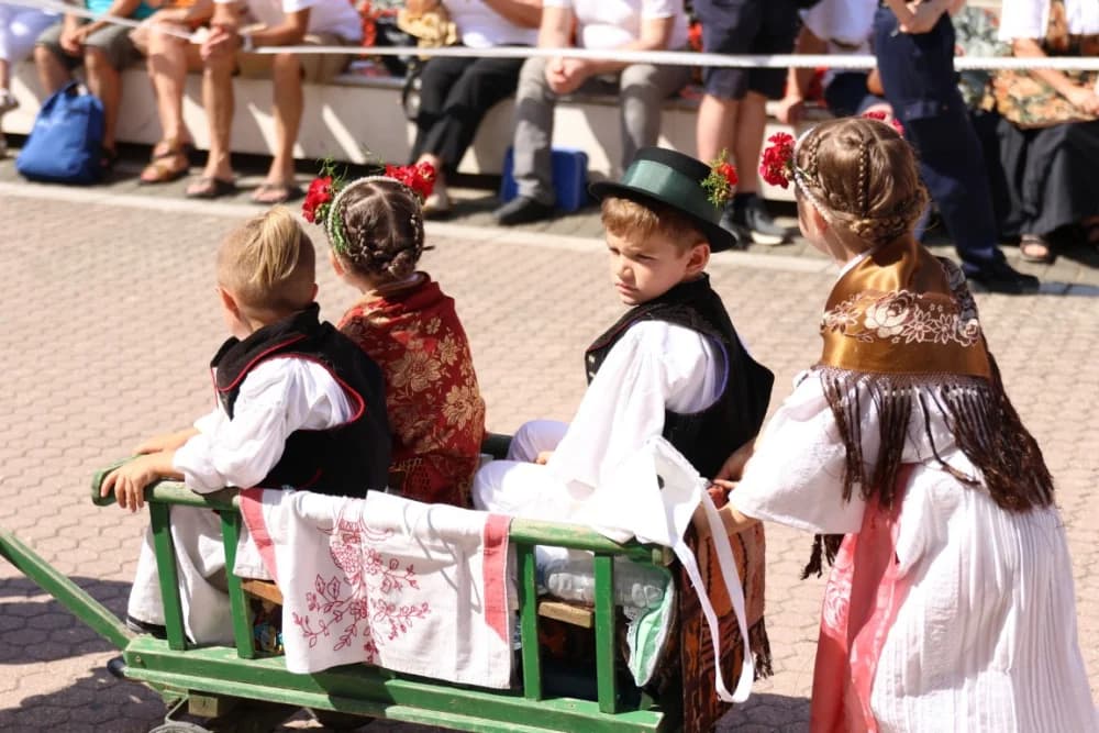 /VELIKA FOTOGALERIJA/ Ljepota tradicije i bogatstvo narodnih običaja dočarana na 58. Đakovačkim vezovima