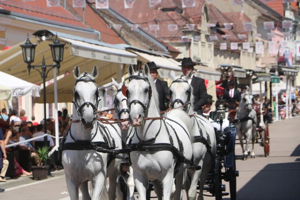 /VELIKA FOTOGALERIJA/ Ljepota tradicije i bogatstvo narodnih običaja dočarana na 58. Đakovačkim vezovima