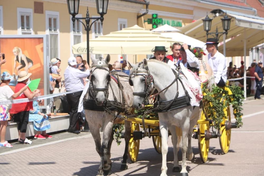 /VELIKA FOTOGALERIJA/ Ljepota tradicije i bogatstvo narodnih običaja dočarana na 58. Đakovačkim vezovima