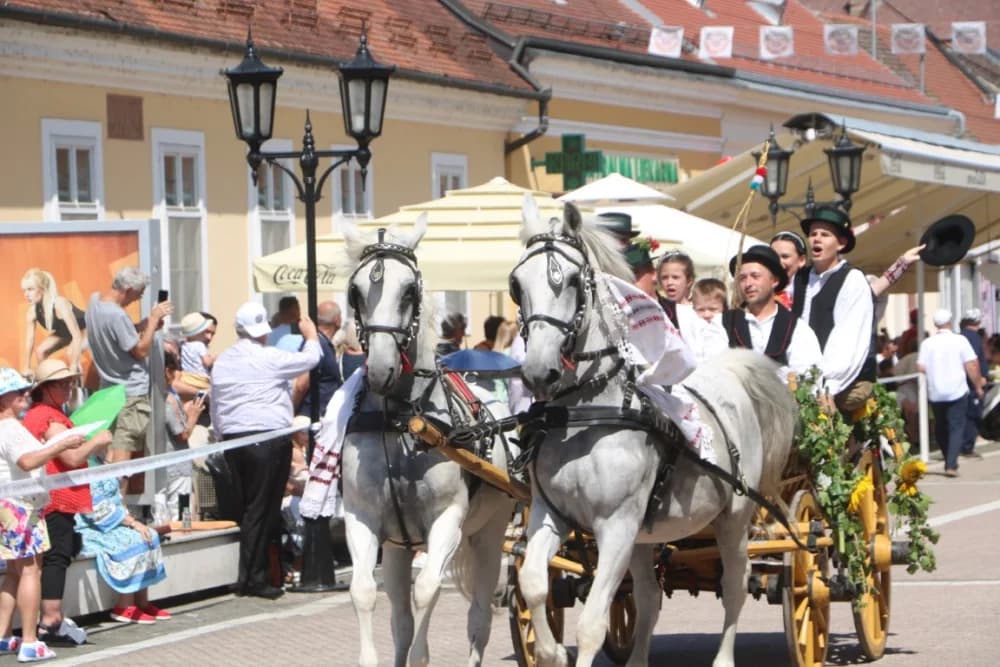 /VELIKA FOTOGALERIJA/ Ljepota tradicije i bogatstvo narodnih običaja dočarana na 58. Đakovačkim vezovima