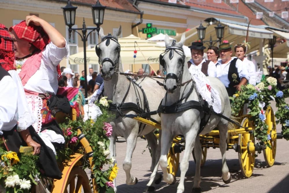 /VELIKA FOTOGALERIJA/ Ljepota tradicije i bogatstvo narodnih običaja dočarana na 58. Đakovačkim vezovima