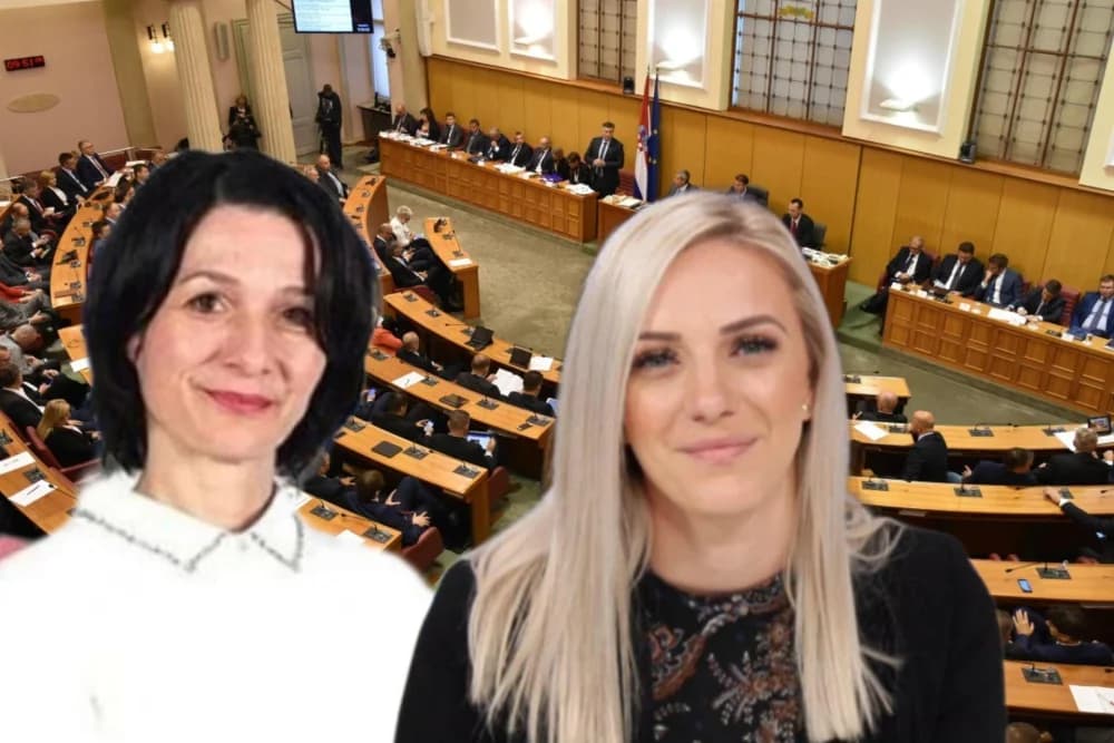 OTKRIVENA IMOVINA NOVIH ZASTUPNICA: Od zlata do umjetnine, evo što imaju Brođanke