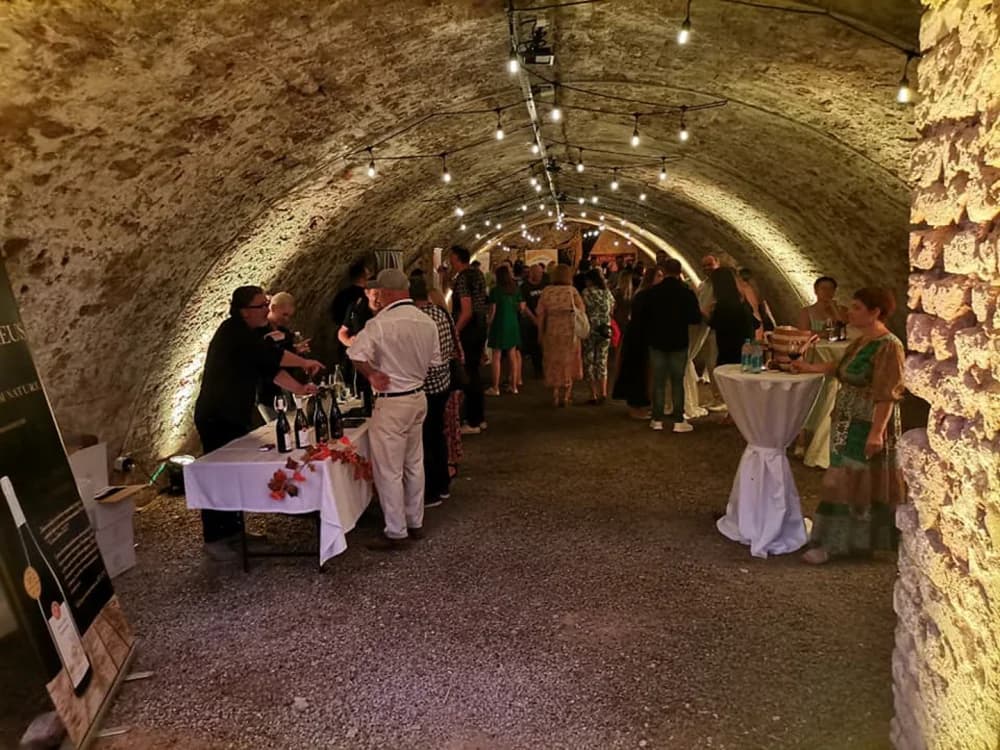 NAJAVLJEN FESTIVAL: Vina ponovno stižu u Tvrđavu
