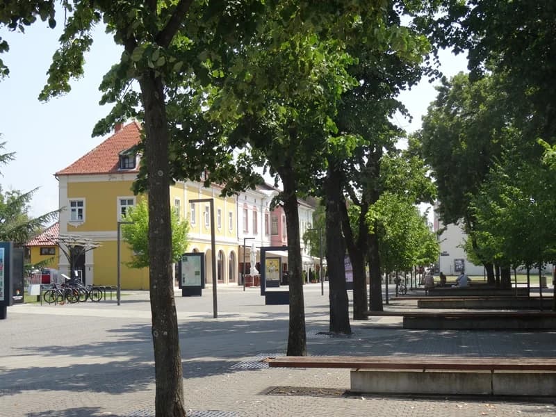 NOVOGRADIŠKA ZELENA SIESTA – Prikupljanje snage za gradski šušur i besane vruće noći u kolovozu