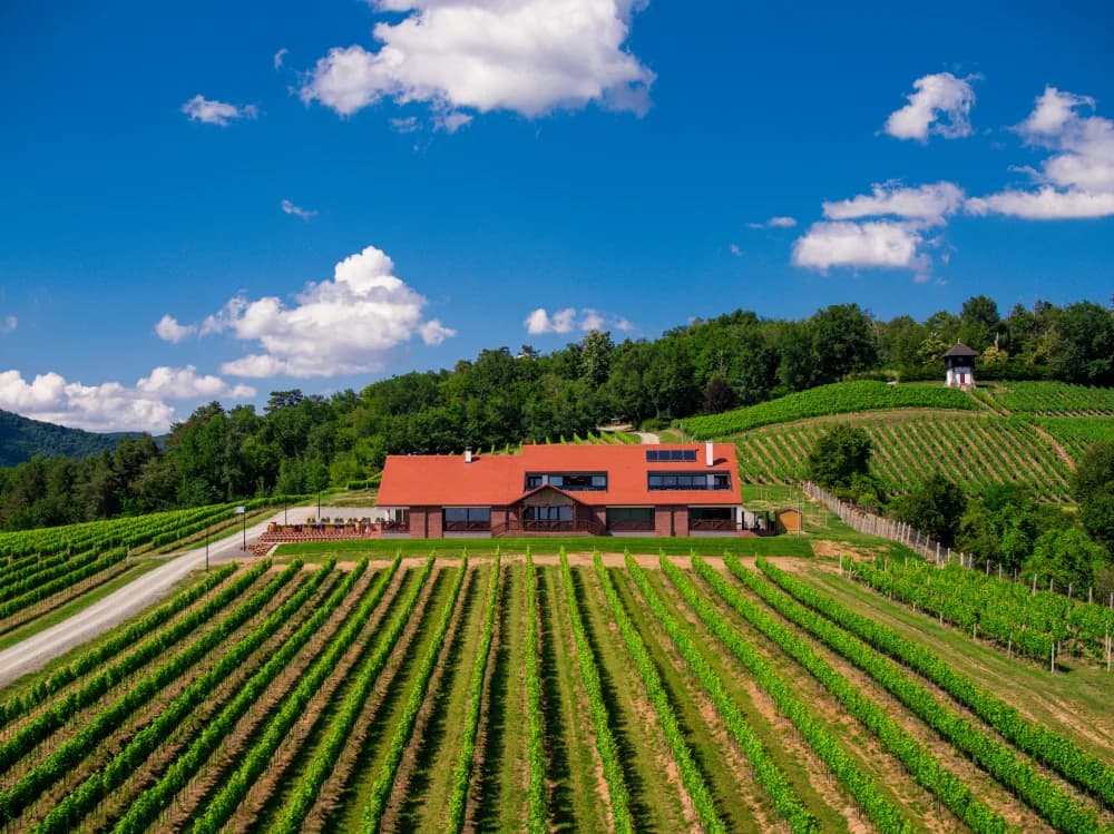 Prepustite se luksuzu i enogastronomskoj čaroliji Vinarije Kutjevo