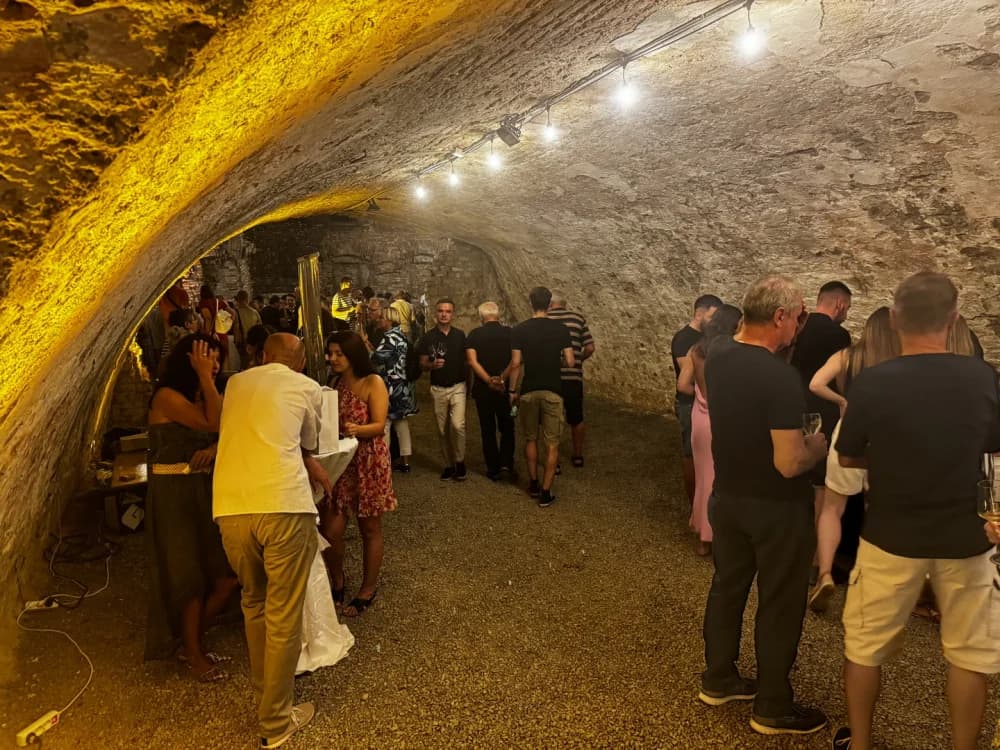 Oživljena vinska kulturu u Slavonskom Brodu
