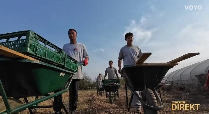 RADNA SNAGA: 30 Nepalaca doselilo u malo slavonsko mjesto sa svega 300-injak stanovnika