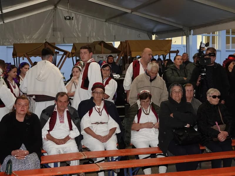 STUPNIČKA BERBA GROŽĐA – Bez običaja gaženja grožđa, ali uz zdravlje i prepoznatljivo gostoprimstvo domaćina
