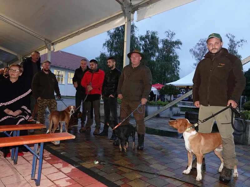 STUPNIČKA BERBA GROŽĐA – Bez običaja gaženja grožđa, ali uz zdravlje i prepoznatljivo gostoprimstvo domaćina