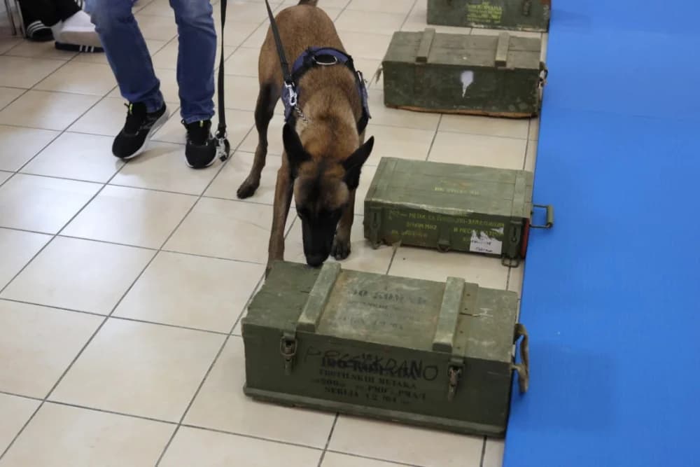 (FOTO-VIDEO) Mališani s oduševljenjem pratili pokaznu vježbu specijalne policije te razgledali opremu i naoružanje