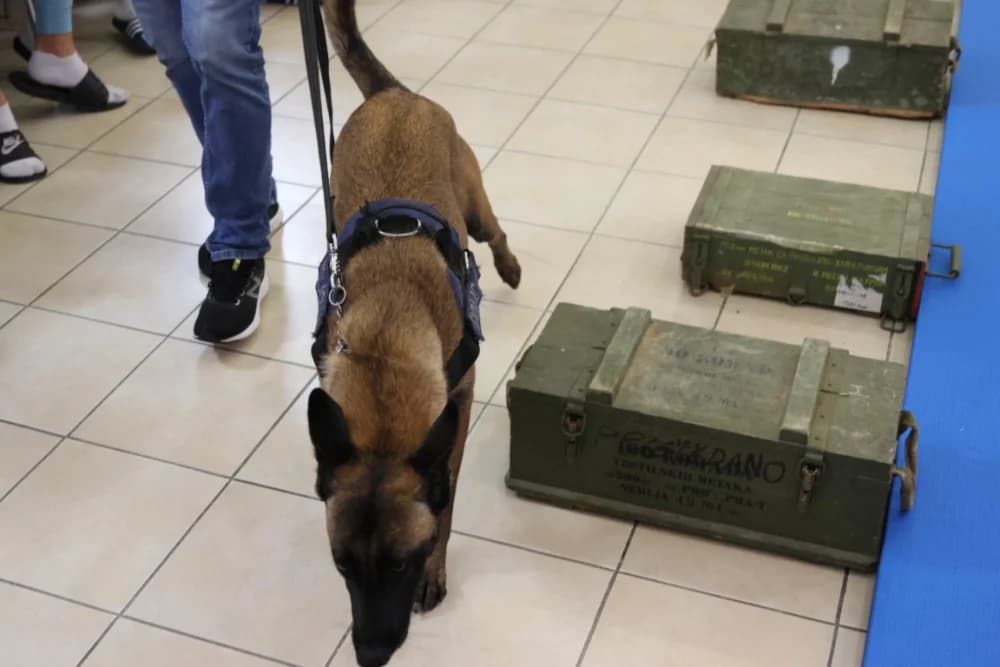 (FOTO-VIDEO) Mališani s oduševljenjem pratili pokaznu vježbu specijalne policije te razgledali opremu i naoružanje