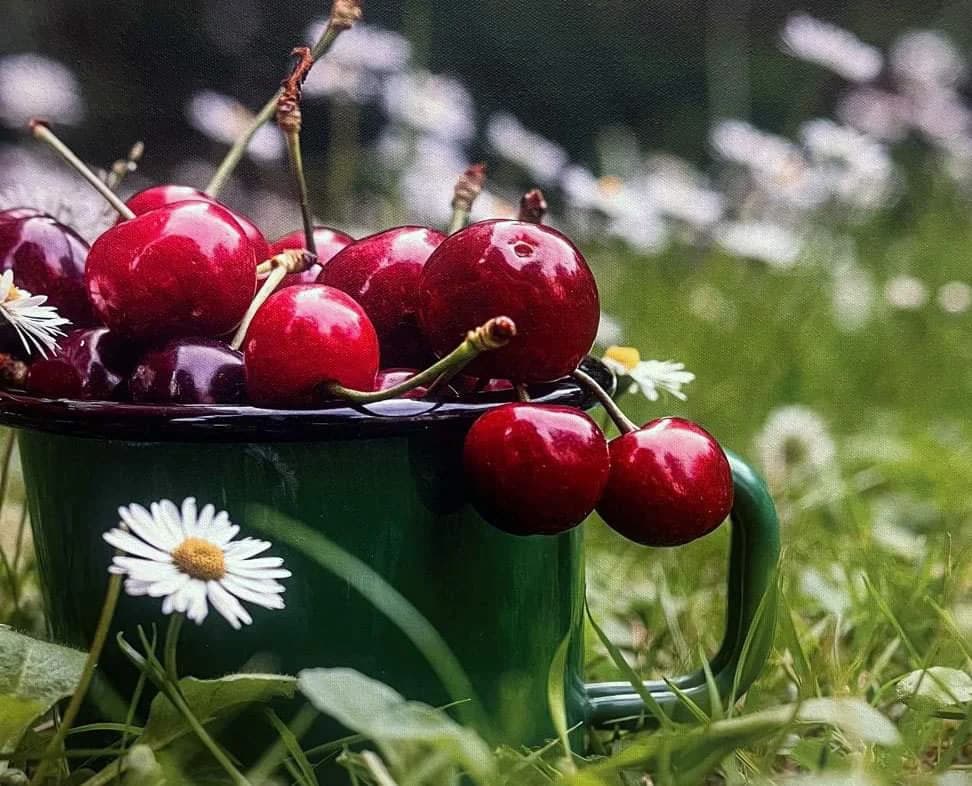 VOLIM SVOJU ŽUPANIJU: Župan Marušić na prisustvovao otvorenju izložbe fotografija u Splitu