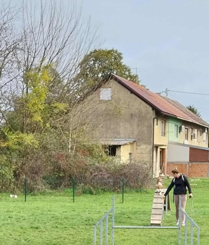 ZANIMLJIVO DRUŽENJE NA PLAVOM POLJU: Okupili su se svi Biglovi Sl. Broda