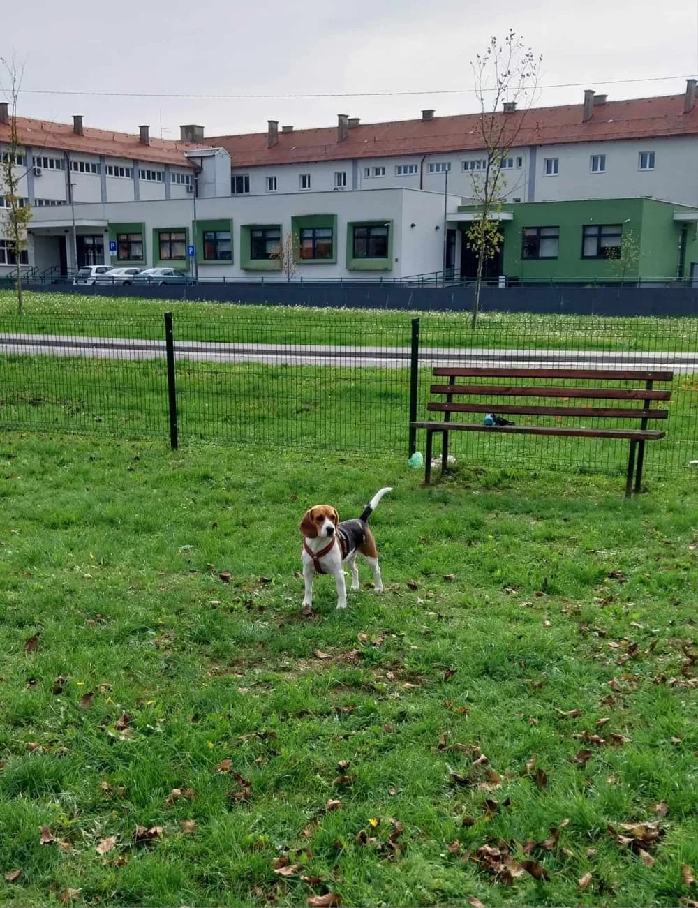ZANIMLJIVO DRUŽENJE NA PLAVOM POLJU: Okupili su se svi Biglovi Sl. Broda