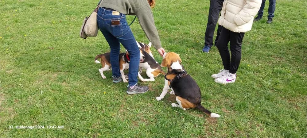 ZANIMLJIVO DRUŽENJE NA PLAVOM POLJU: Okupili su se svi Biglovi Sl. Broda