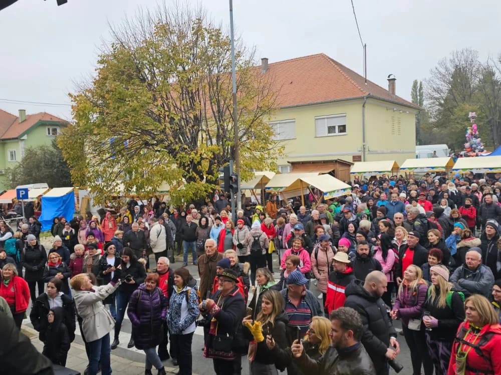Nikad veći broj planinara, izlagača i posjetitelja na ovogodišnjem Martinje u Kutjevu koje će mnogima u dubokom sjećanju