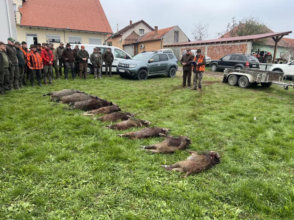 Zajednički lov liječnika, te čelništva lovaca Zagrebačke i Brodske županije