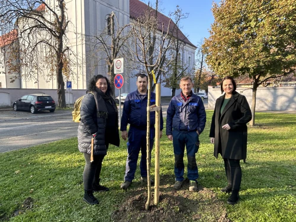Drveća su pluća grada - U Sl. Brodu obilježen Svjetski dan kronične opstruktivne plućne bolesti (KOPB)