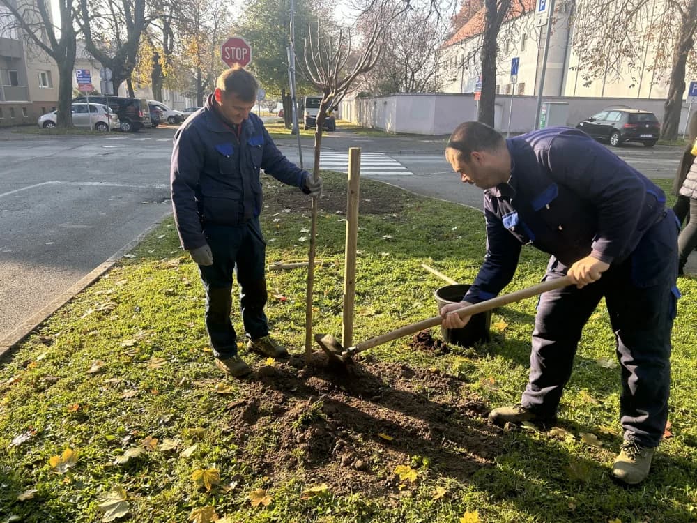 Drveća su pluća grada - U Sl. Brodu obilježen Svjetski dan kronične opstruktivne plućne bolesti (KOPB)