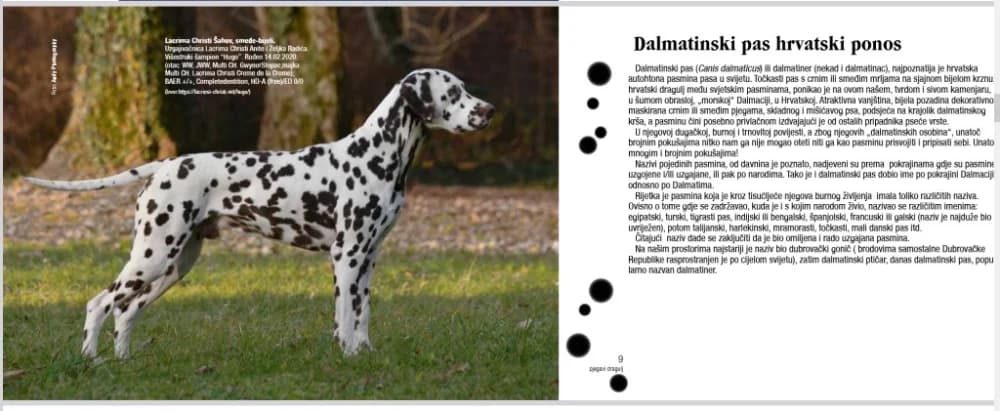 Dalmatiner je dobio monografiju u središtu svoje postojbine