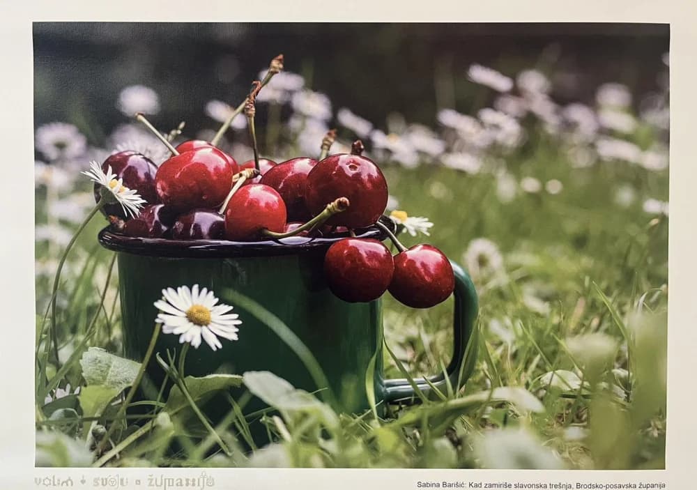 Predstavnici Brodsko-posavske županije u Frakfurtu nazočili izložbi najboljih fotografija iz natječaja ʼVolim svoju županijuʼ