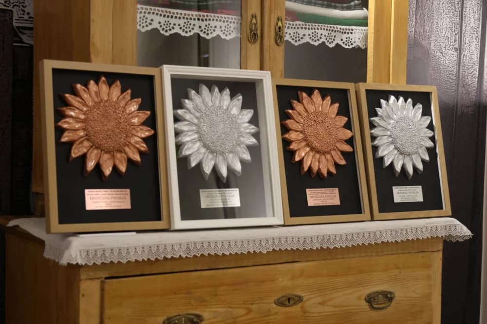 Vrijednim i marljivim čuvarima baštine dodijeljene nagrade „Suncokret ruralnog turizma“ - župan Marušić upriličio za njih prijem