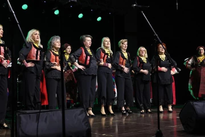 Uz Maju Šuput u Sibinju nastupilo više KUD-ova u prigodi obilježavanja Dana općine i Dana Osnovne škole Sibinjskih žrtava