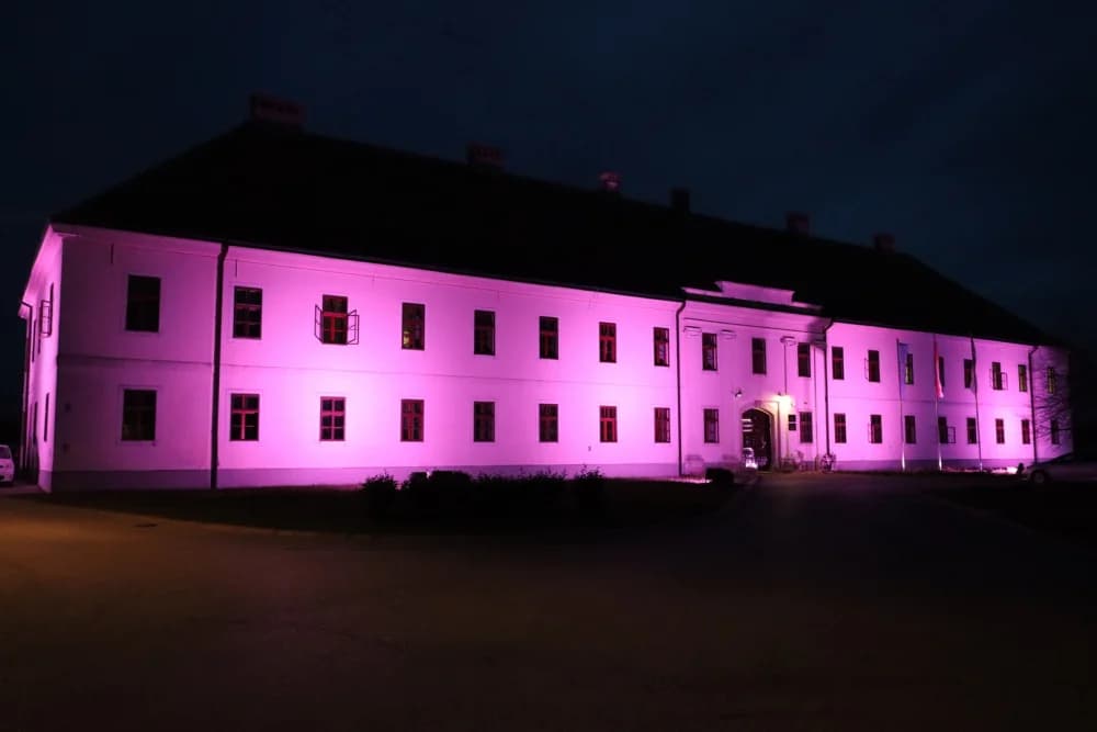 Ljubičasto osvjetljene građevine u Tvrđavi Brod - podrška oboljelima od epilepsije