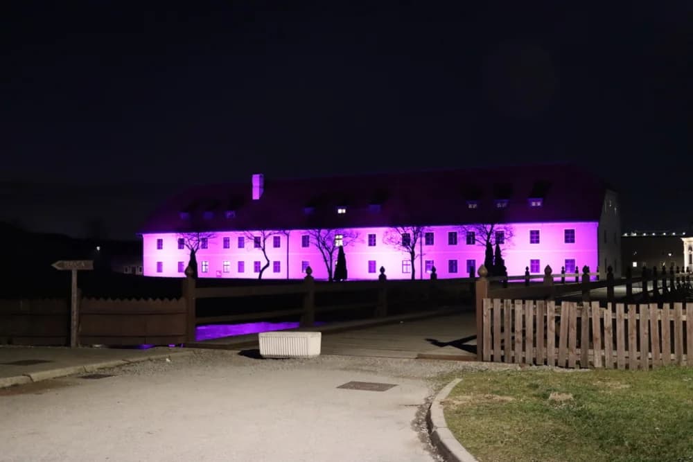 Ljubičasto osvjetljene građevine u Tvrđavi Brod - podrška oboljelima od epilepsije