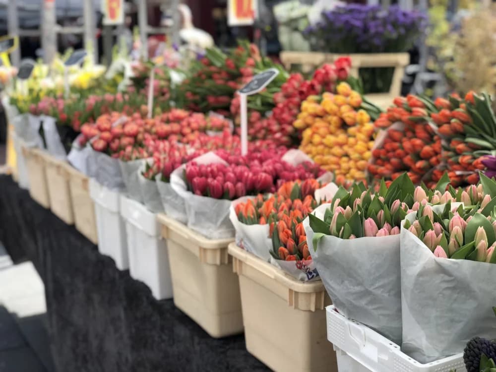 Poznat datum održavanja 17. Flora festa u Tvrđavi Brod