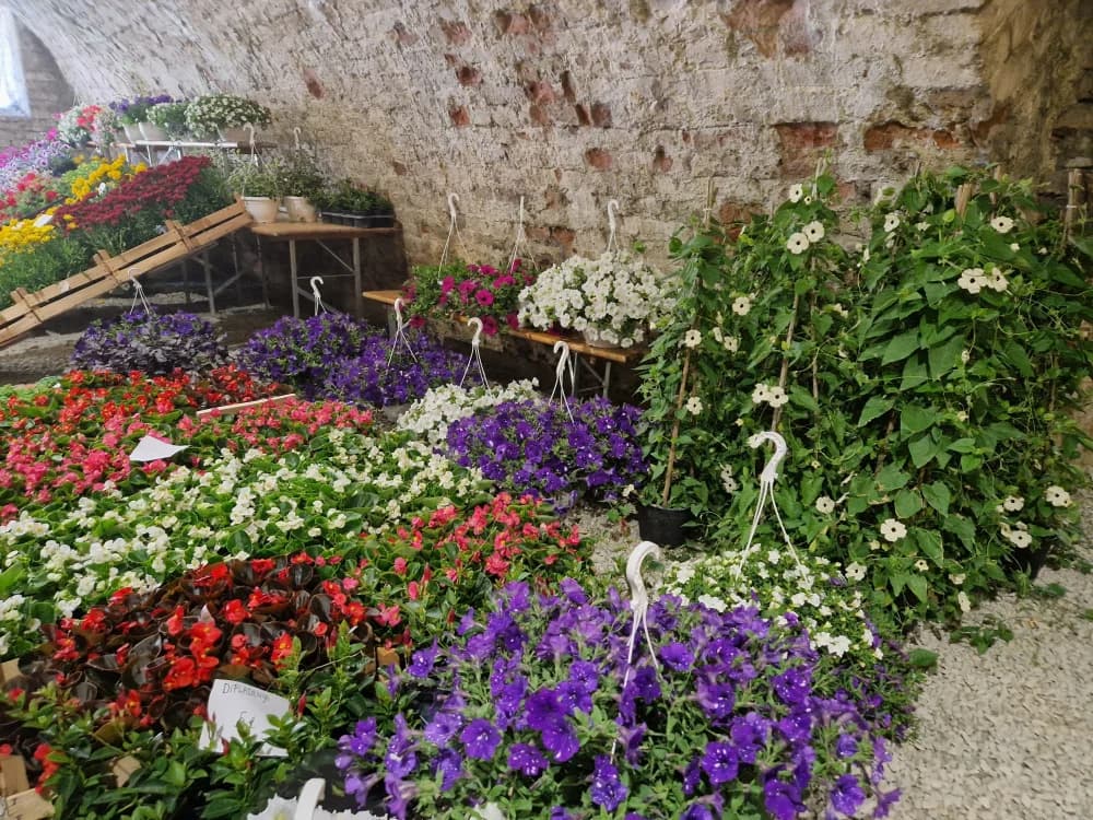 Poznat datum održavanja 17. Flora festa u Tvrđavi Brod