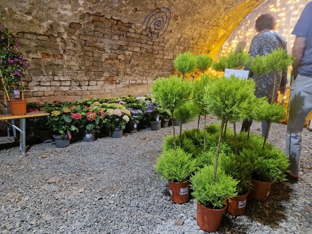 Poznat datum održavanja 17. Flora festa u Tvrđavi Brod