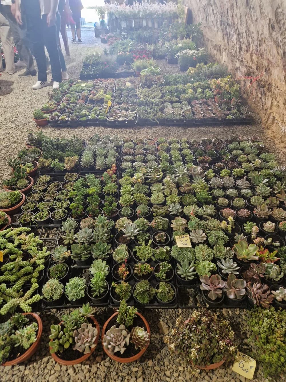 Poznat datum održavanja 17. Flora festa u Tvrđavi Brod