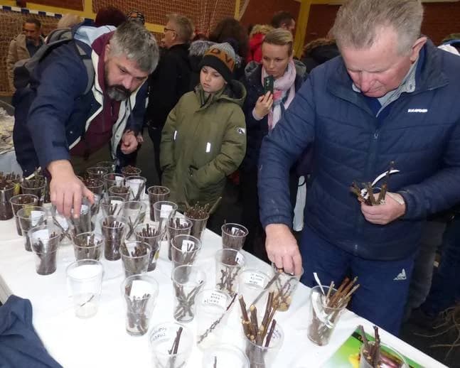 Rekordan broj okupljenih zaljubljenika u stare sorte voća