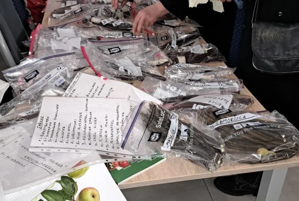 Rekordan broj okupljenih zaljubljenika u stare sorte voća